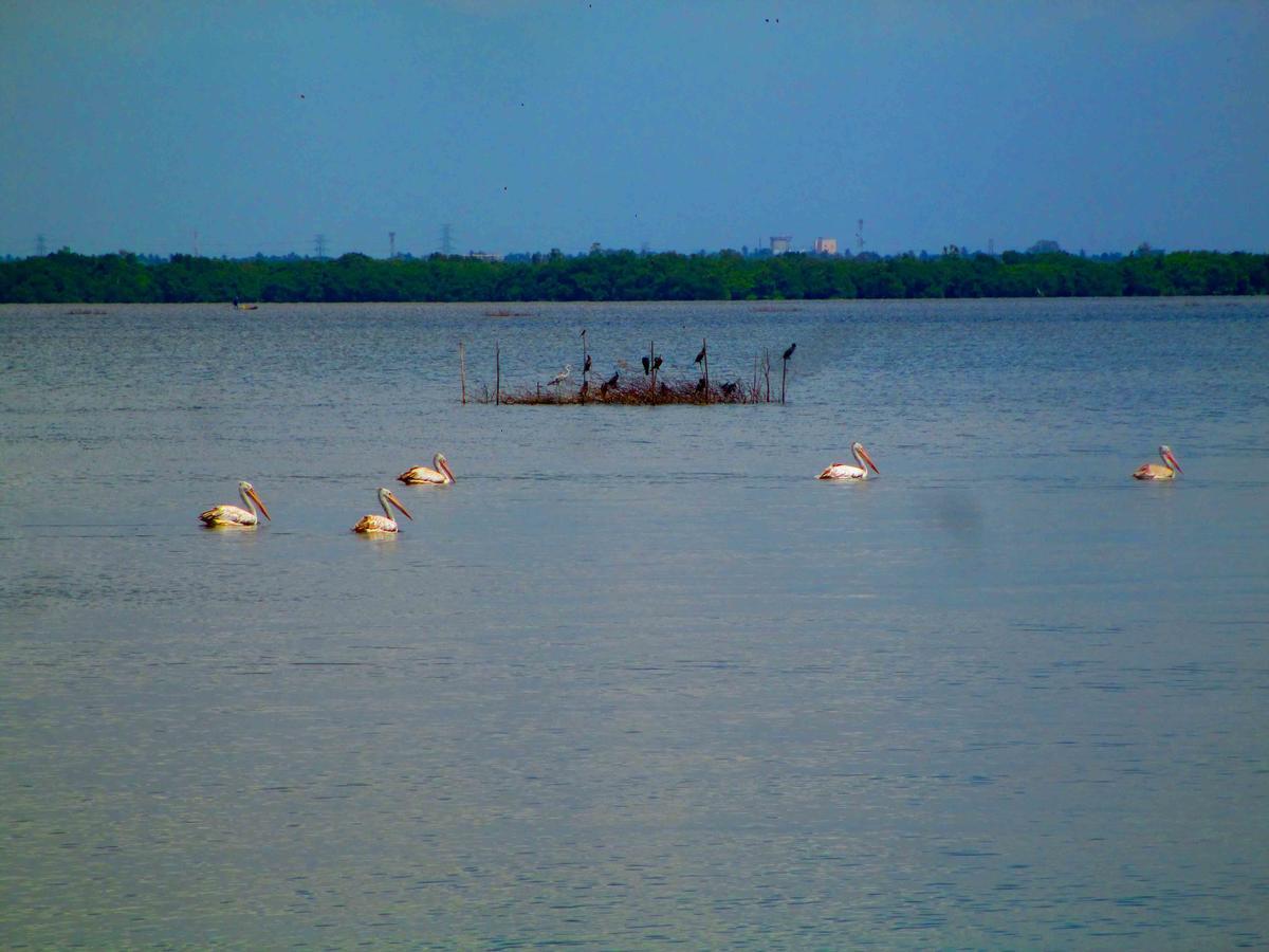 Nico Lagoon Hotel Negombo Buitenkant foto